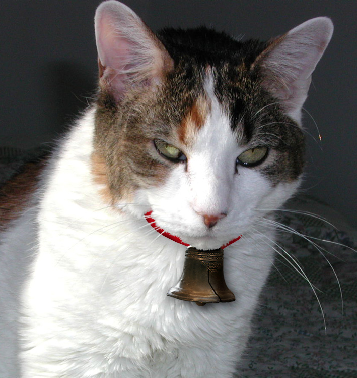 Photoshop Design by wellarmedsheep for DesignCrowd (Community Contests) | Design #9076044