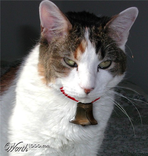 Photoshop Design by wellarmedsheep