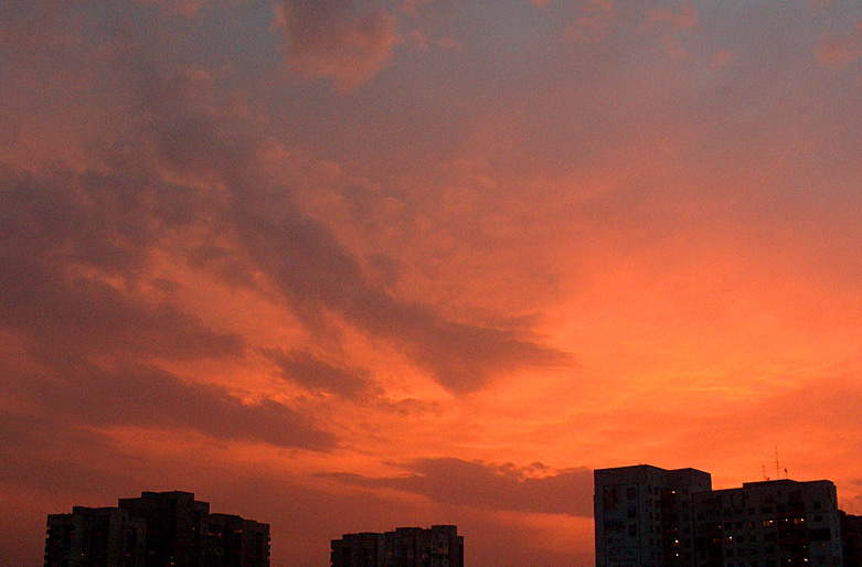 Fotografía por BattleAngelAlita para DesignCrowd (Community Contests) | Diseño #9077322