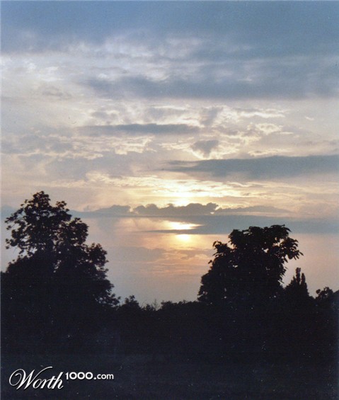 Photography by Kevertje