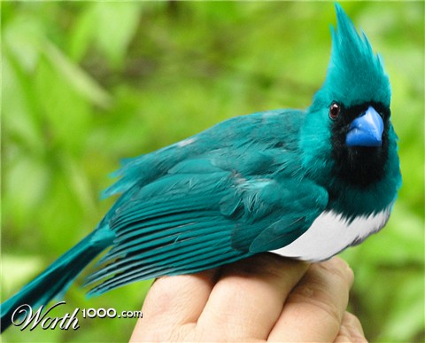 Photoshop Design by guerrero2684