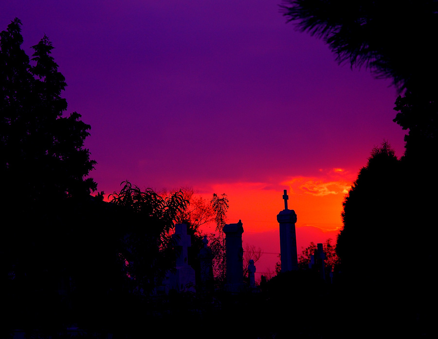 Fotografía por attacker para DesignCrowd (Community Contests) | Diseño #9077316