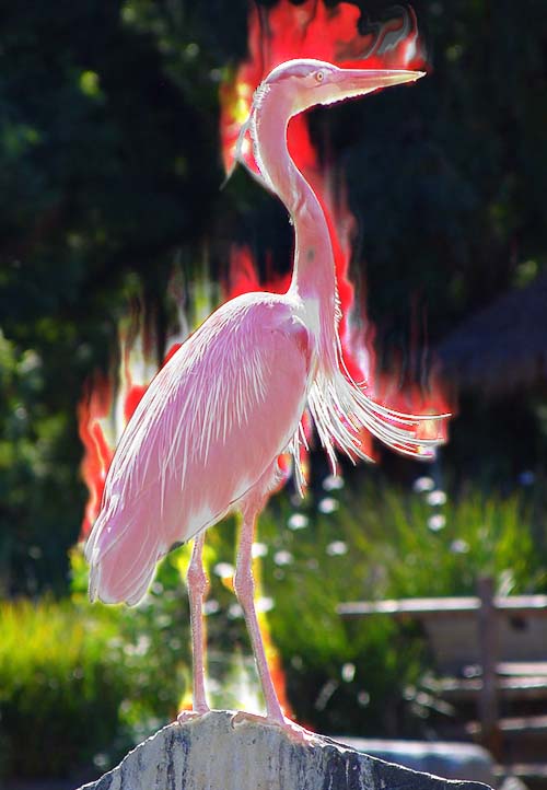 Photoshop Design by Jesuslavex for DesignCrowd (Community Contests) | Design #9079727