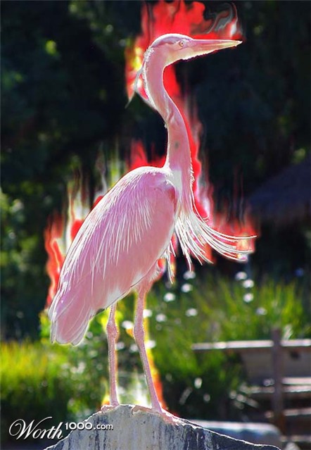 Photoshop Design by Jesuslavex