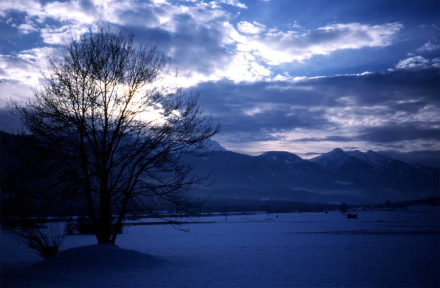 Photography by mysterio for DesignCrowd (Community Contests) | Design #9077239