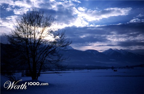 Photography by mysterio