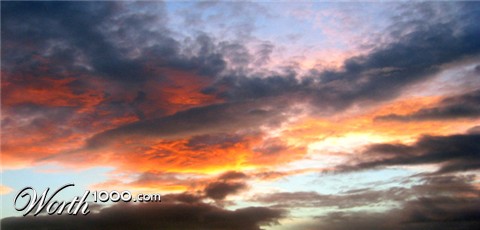 Photography by smudger