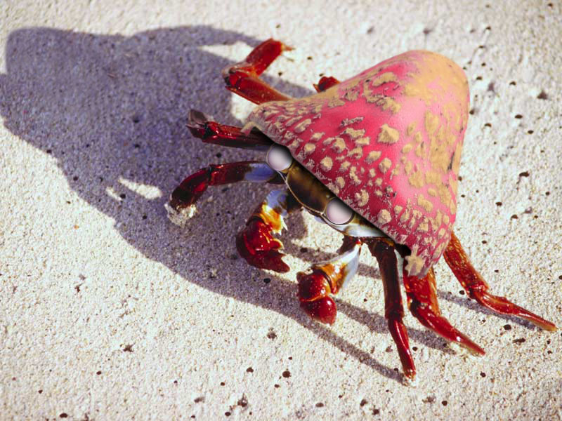 Design Photoshop par godzillatemple pour DesignCrowd (Community Contests) | Design #9079721