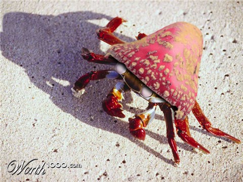 Photoshop Design by godzillatemple