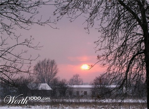 Photography by mzmzmzmz