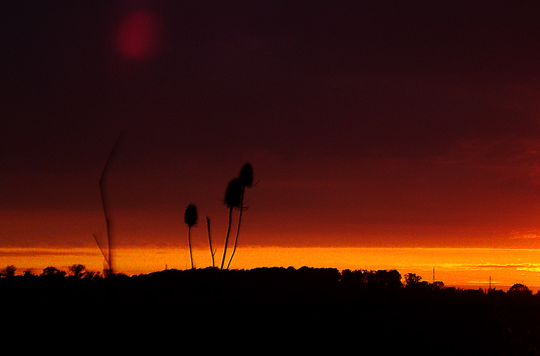 Fotografie von meerkat2 für DesignCrowd (Community Contests) | Design #9077291