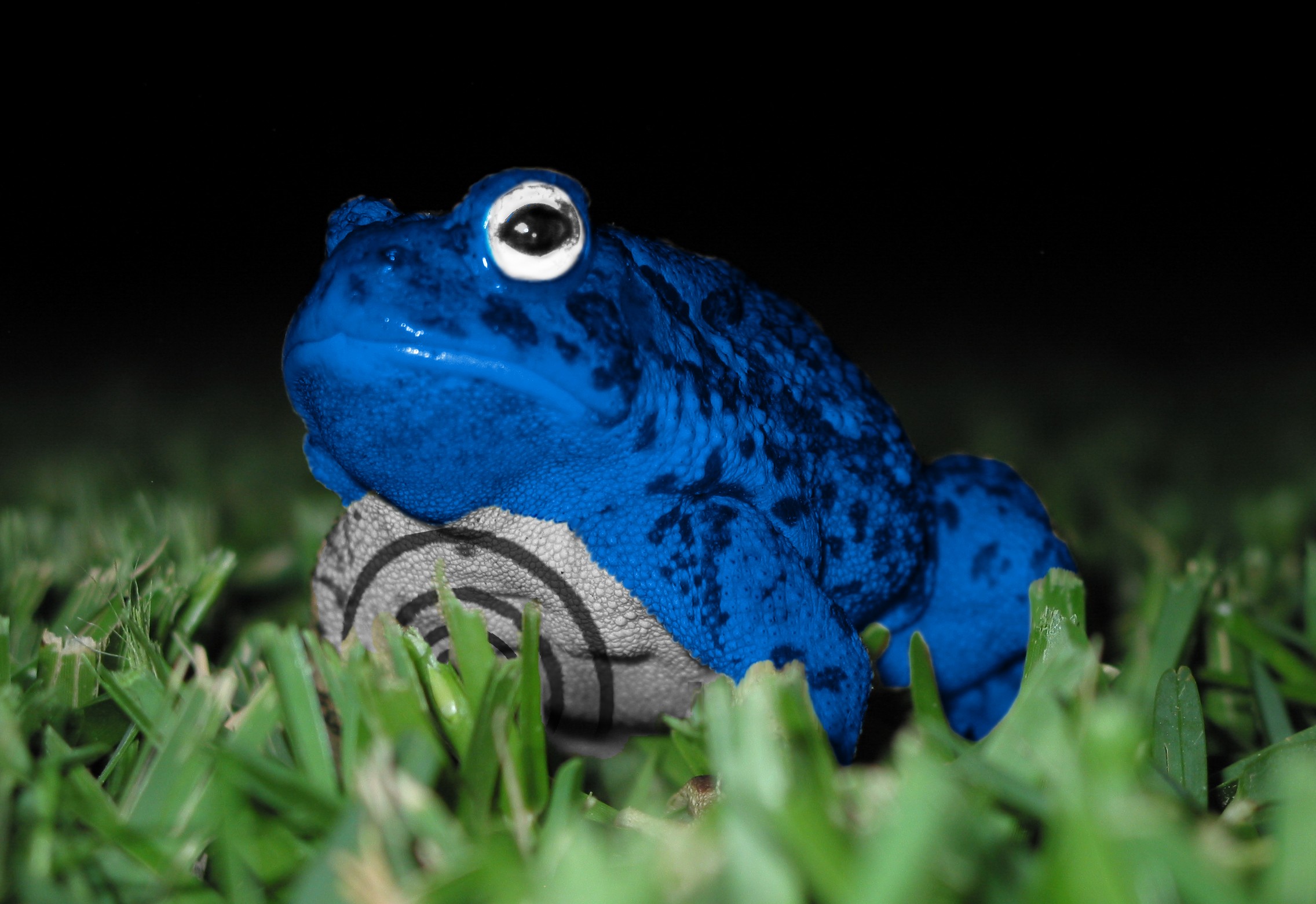 Diseño de Photoshop por moco11 para DesignCrowd (Community Contests) | Diseño #9079740