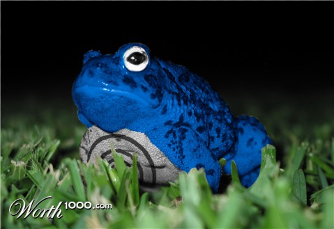 Photoshop Design by moco11