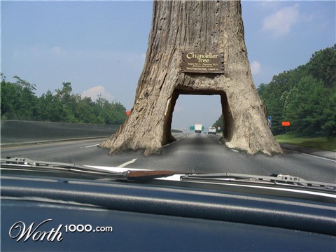 Photoshop Design by foreheadvcr