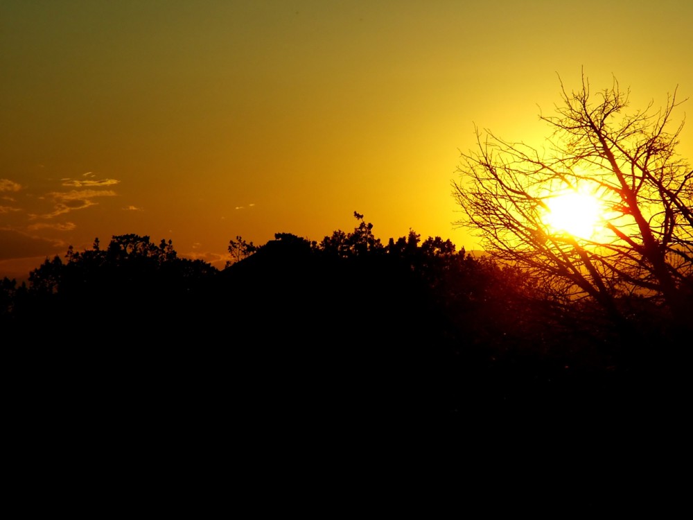 Fotografie von mmc9496 für DesignCrowd (Community Contests) | Design #9077172