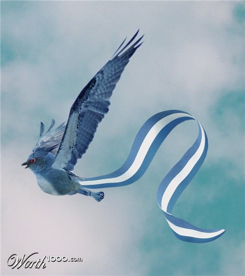 Photoshop Design by Edwardxl