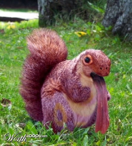 Photoshop Design by flaebehop