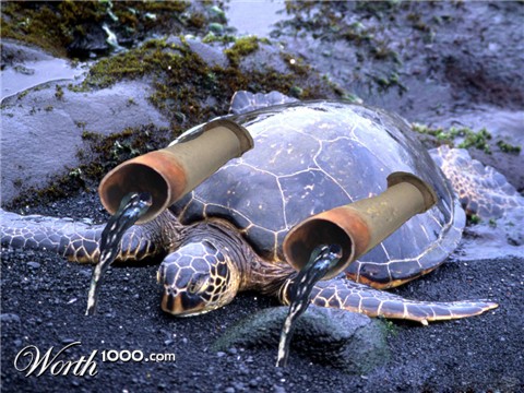 Photoshop Design by pinprick987