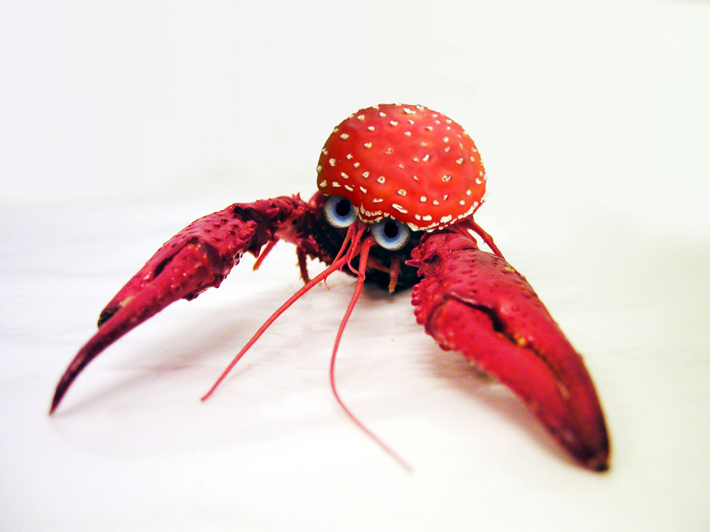 Photoshop Design by CraftLord for DesignCrowd (Community Contests) | Design #9079910