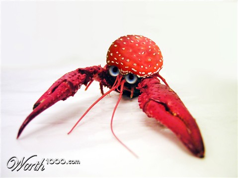 Photoshop Design by CraftLord