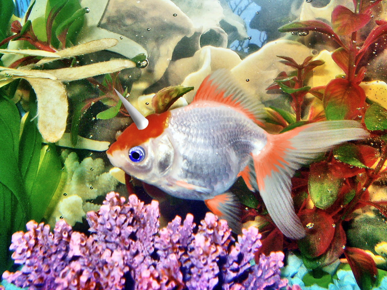 Design Photoshop par Pazaahhh pour DesignCrowd (Community Contests) | Design #9079865