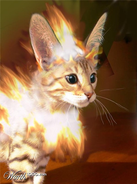 Photoshop Design by MrPOGI