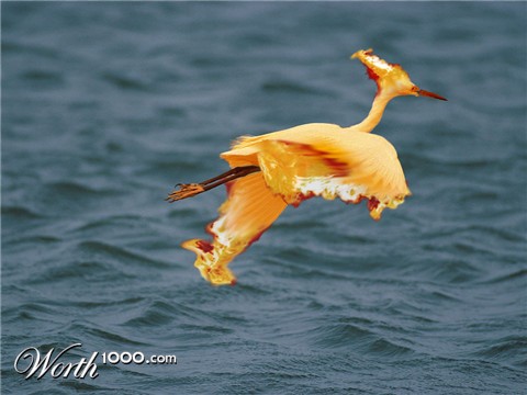 Photoshop Design by eisbrecher
