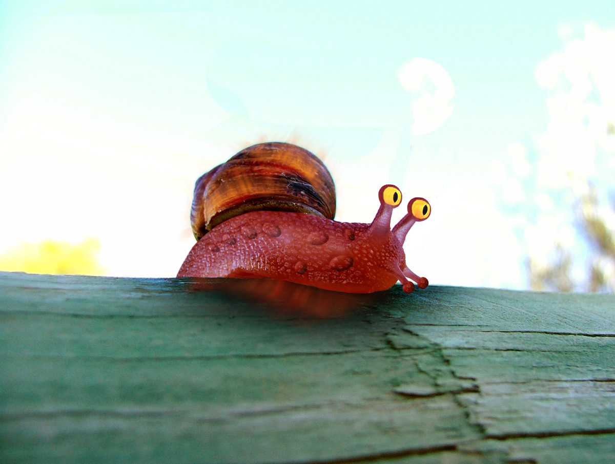 Photoshop Design by wellarmedsheep for DesignCrowd (Community Contests) | Design #9079913