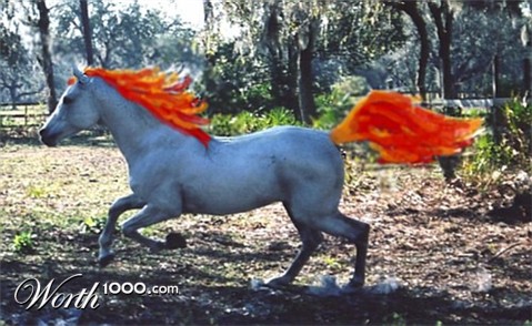 Photoshop Design by Larah McElroy