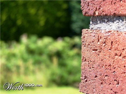 Photography by TotalDomination