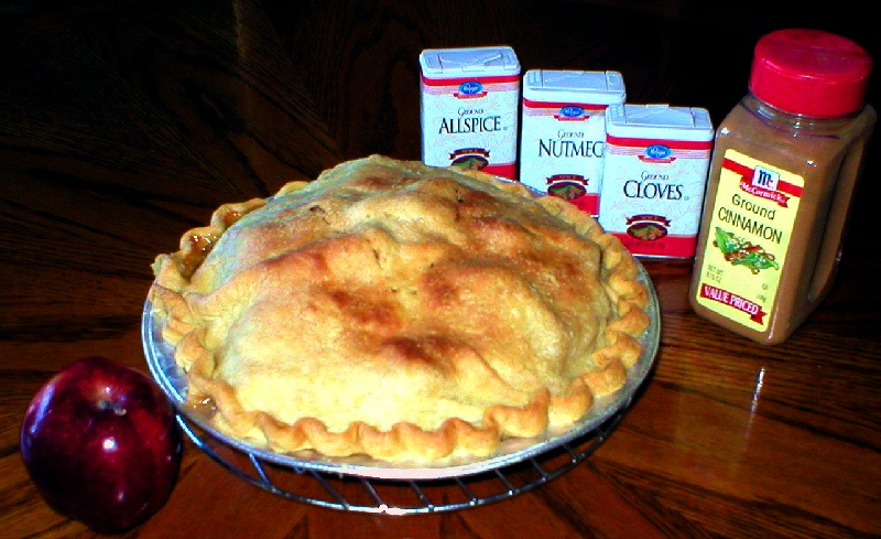 Photography by ShooterSue for DesignCrowd (Community Contests) | Design #9073896