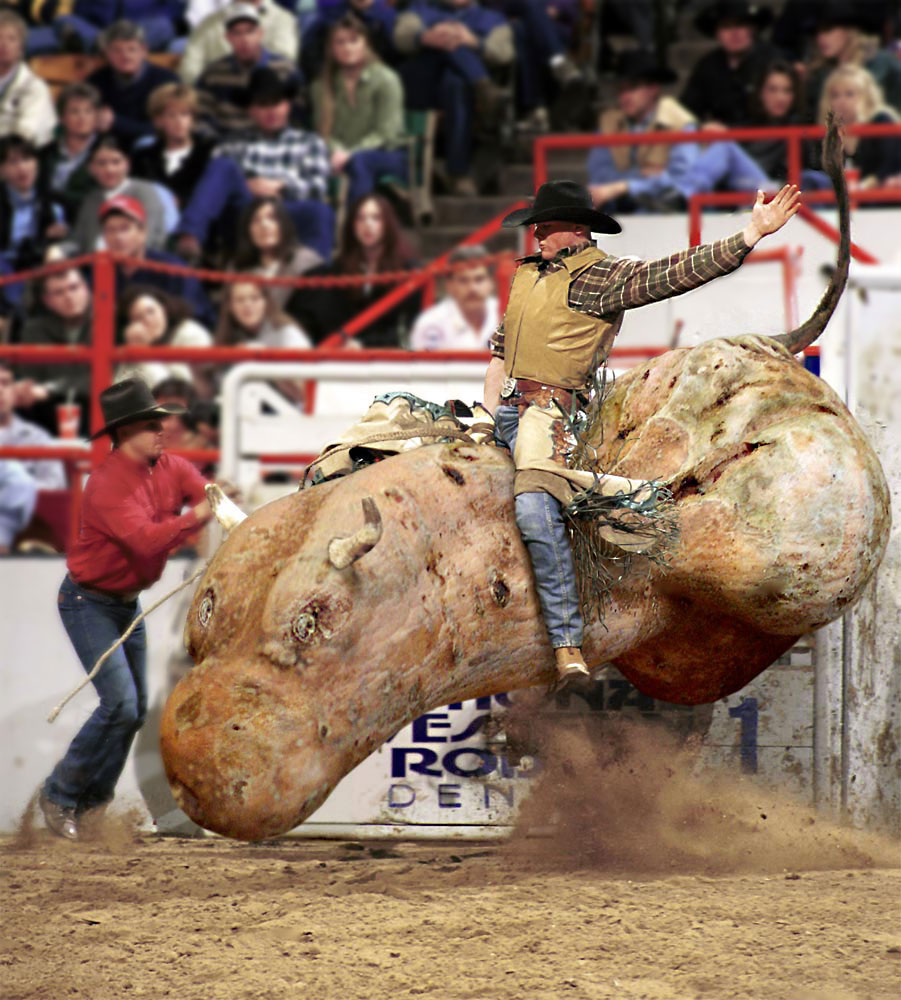 Photoshop Design by ozplasmic for DesignCrowd (Community Contests) | Design #9076927