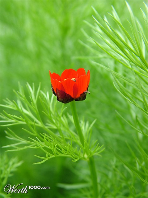 Photography by Craigr1978