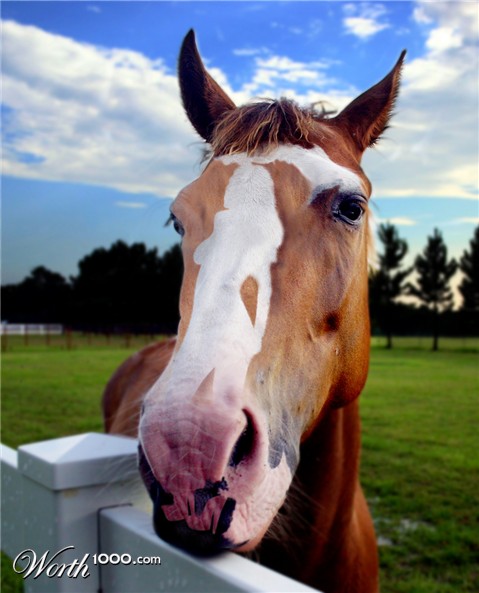 Photoshop Design by a17rwk