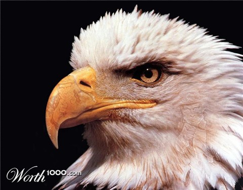 Photoshop Design by agrojimbo