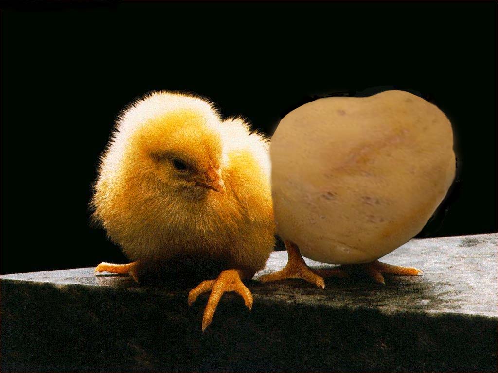 Photoshop Design by kts881 for DesignCrowd (Community Contests) | Design #9077028