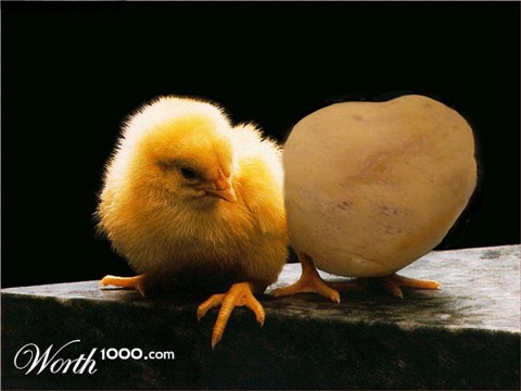 Photoshop Design by kts881