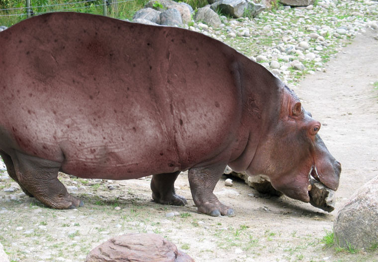 Design Photoshop par scorpio777 pour DesignCrowd (Community Contests) | Design #9077087