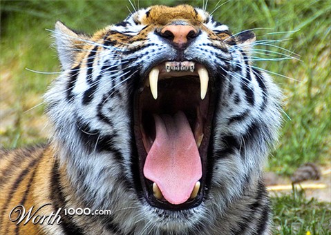 Photoshop Design by marygoodwater