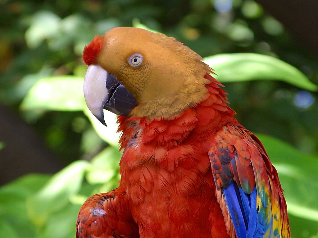 Design Photoshop par thispe pour DesignCrowd (Community Contests) | Design #9077120