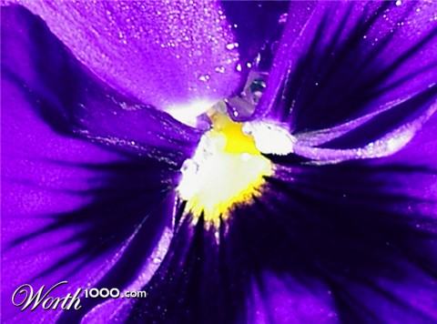 Photography by WinstonStephens