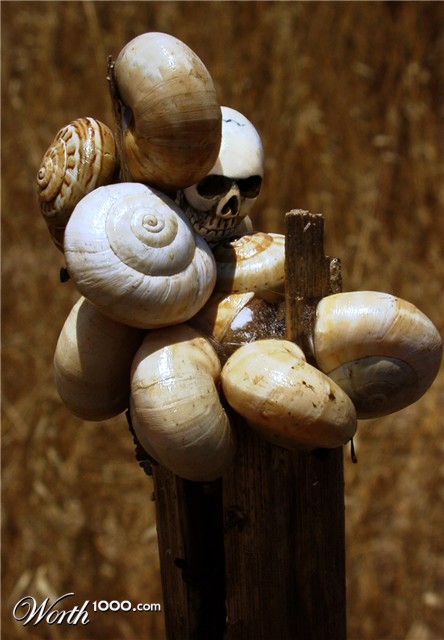 Photoshop Design by Pitinhas