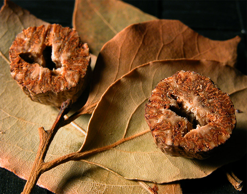 Photography by leo for DesignCrowd (Community Contests) | Design #9073901