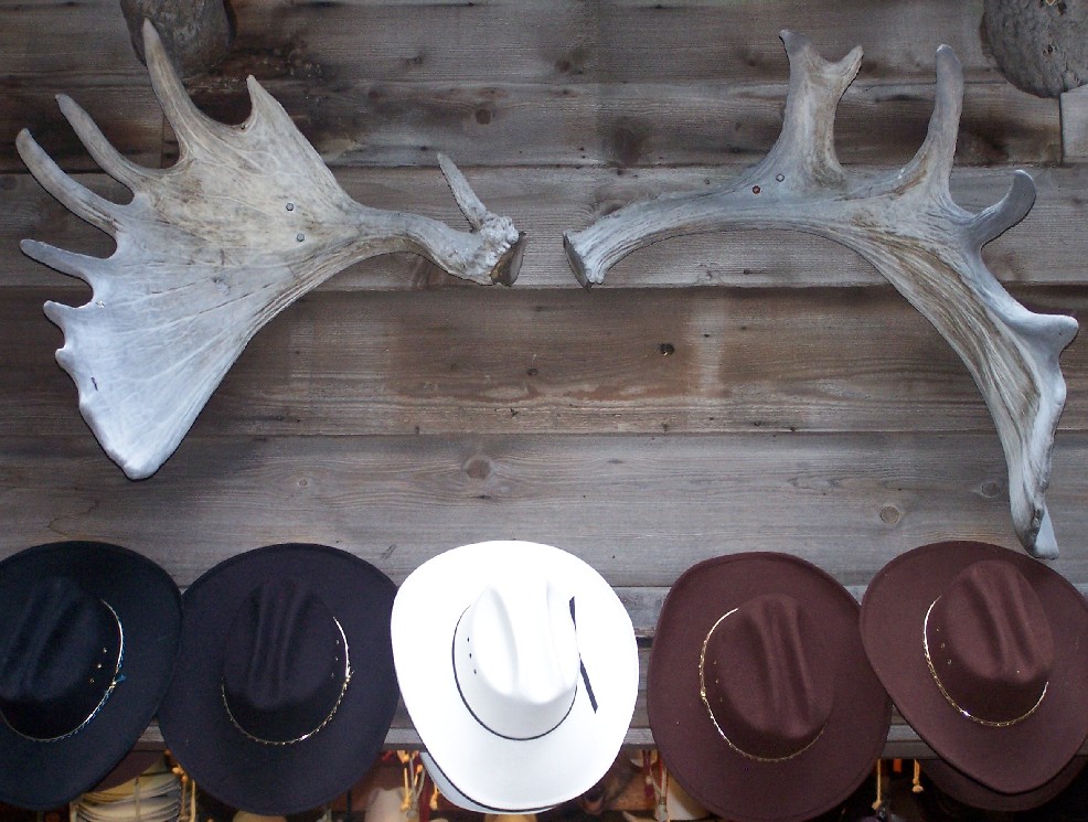 Photographie par ileternaljoker pour DesignCrowd (Community Contests) | Design #9081654