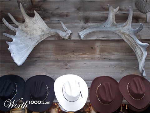 Photography by ileternaljoker