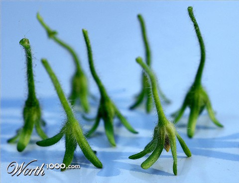 Photography by Marian