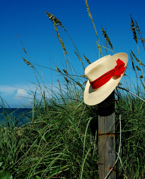 Photography by koalachimbo for DesignCrowd (Community Contests) | Design #9081645