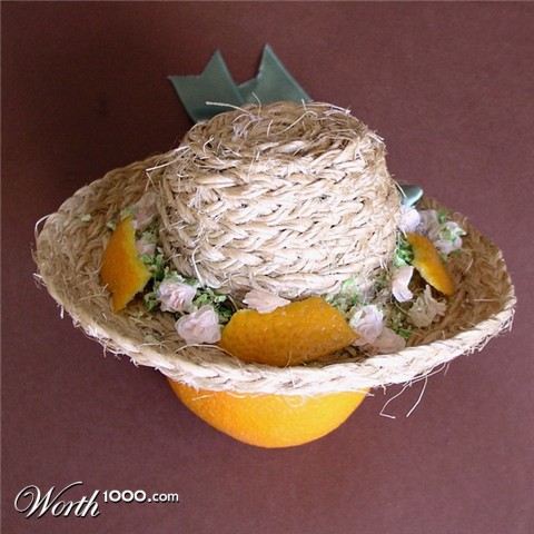 Photography by mzmzmzmz