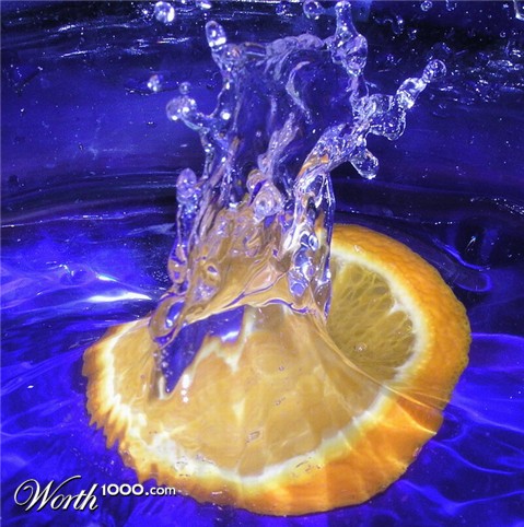 Photography by mzmzmzmz