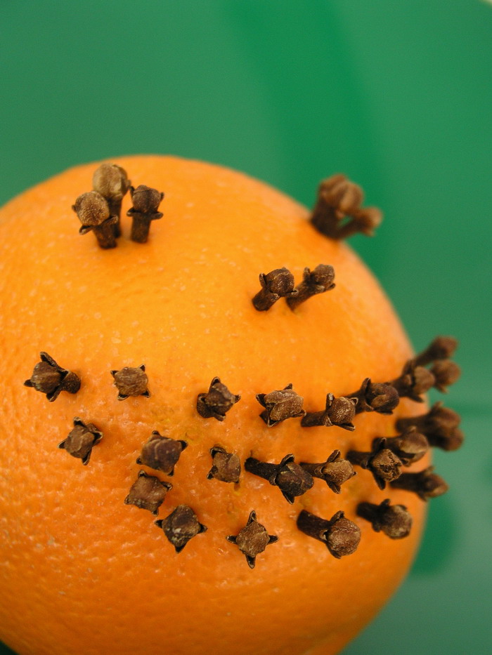 Photography by mzmzmzmz for DesignCrowd (Community Contests) | Design #9073923